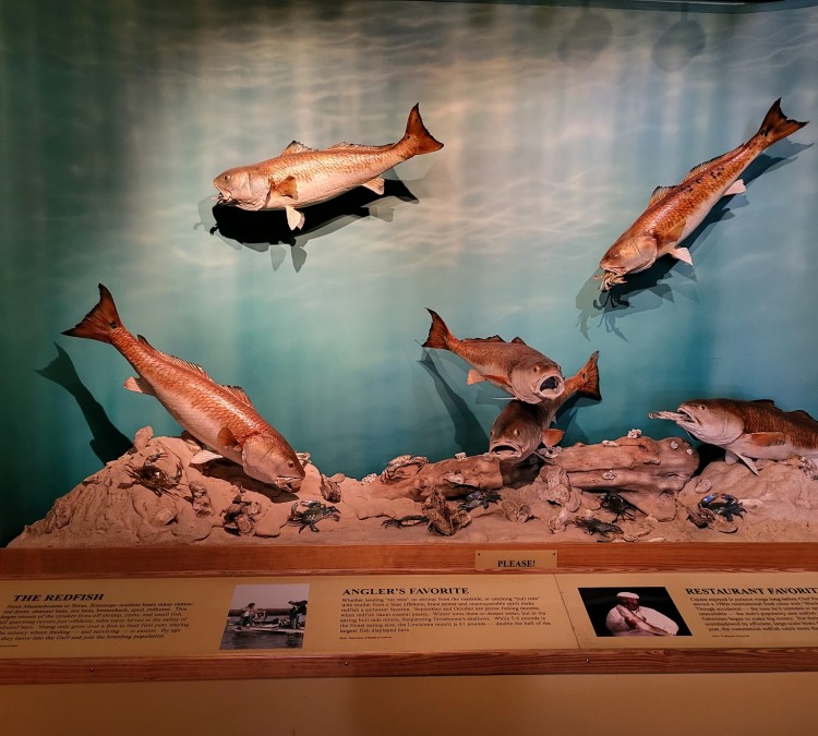 Bayou Terrebonne Waterlife Museum (Houma,&nbspLA)